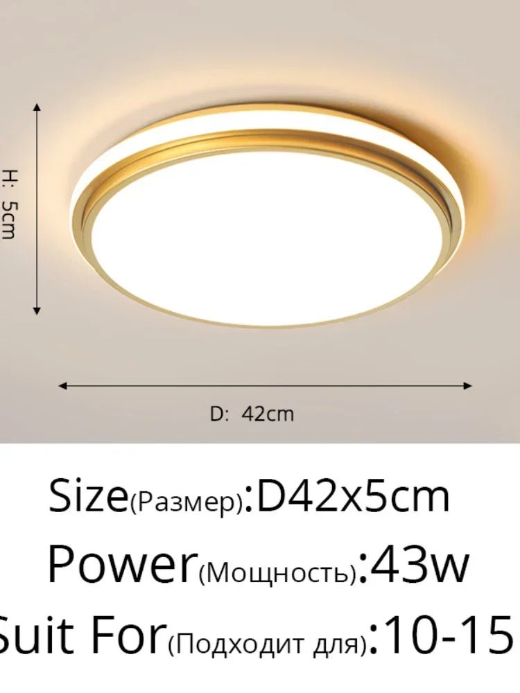 Modern LED Chandelier Indoor Lighting for Living Study Hall Room Bedroom Dining  Lights 110V 220V Fixtures Home Lamp Lustres