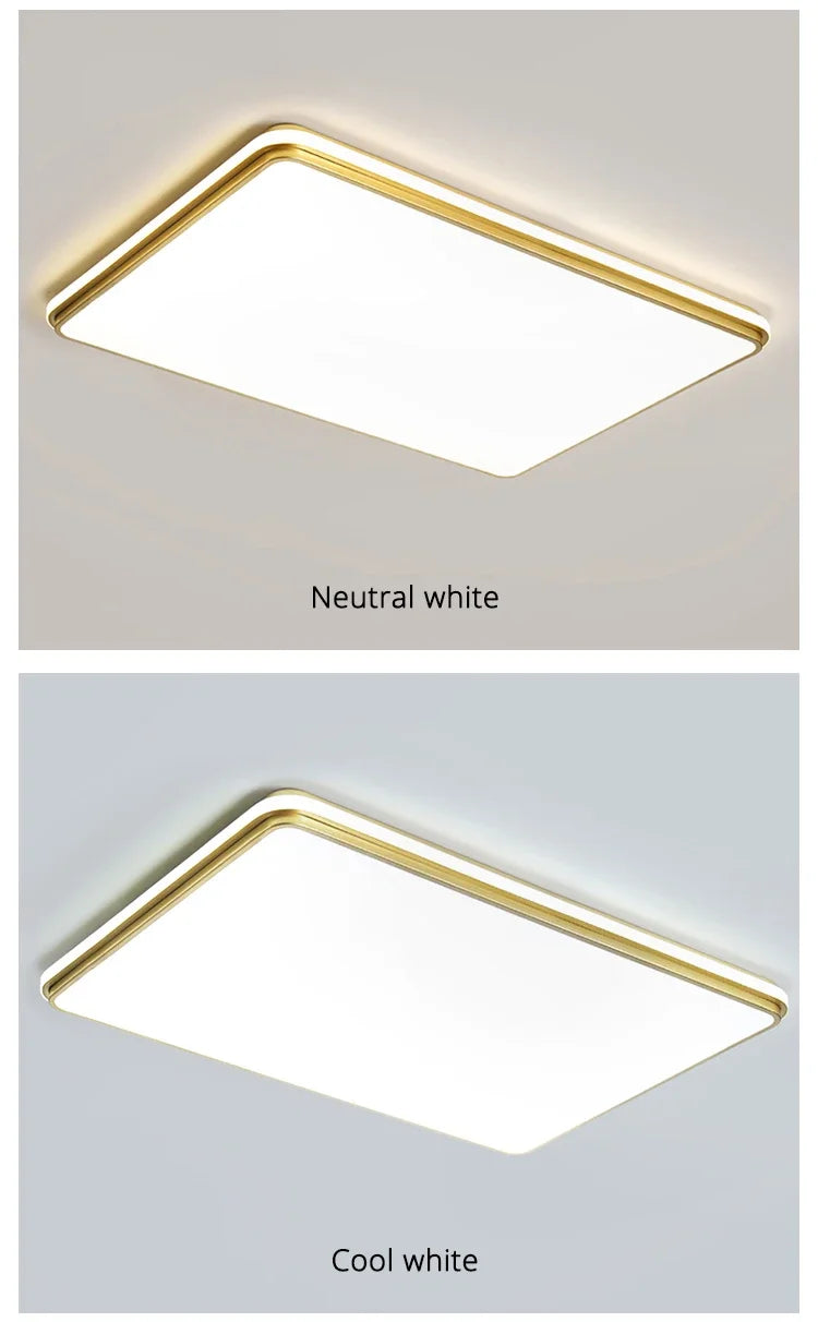 Modern LED Chandelier Indoor Lighting for Living Study Hall Room Bedroom Dining  Lights 110V 220V Fixtures Home Lamp Lustres