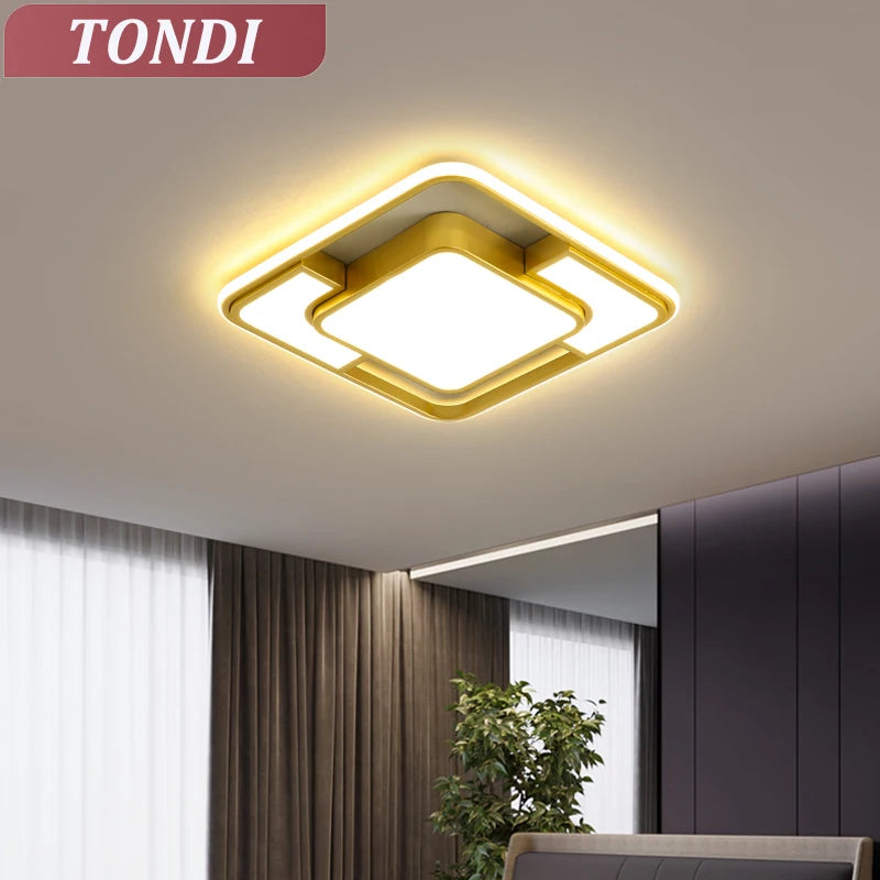 Modern Led Ceiling Lamp Is Suitable For Living Room Dining Room Kitchen Balcony Room Decoration Ceiling Chandelier