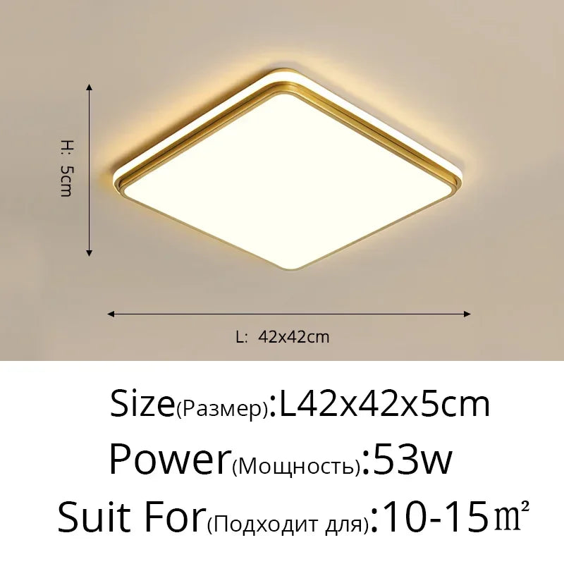 Modern LED Chandelier Indoor Lighting for Living Study Hall Room Bedroom Dining  Lights 110V 220V Fixtures Home Lamp Lustres