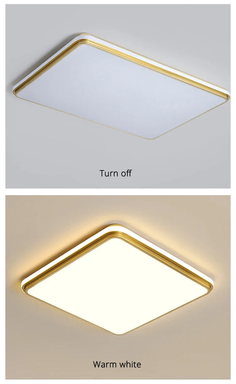 Modern LED Chandelier Indoor Lighting for Living Study Hall Room Bedroom Dining  Lights 110V 220V Fixtures Home Lamp Lustres